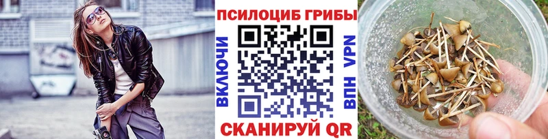 мега ссылка  Павлово  Галлюциногенные грибы MAGIC MUSHROOMS 