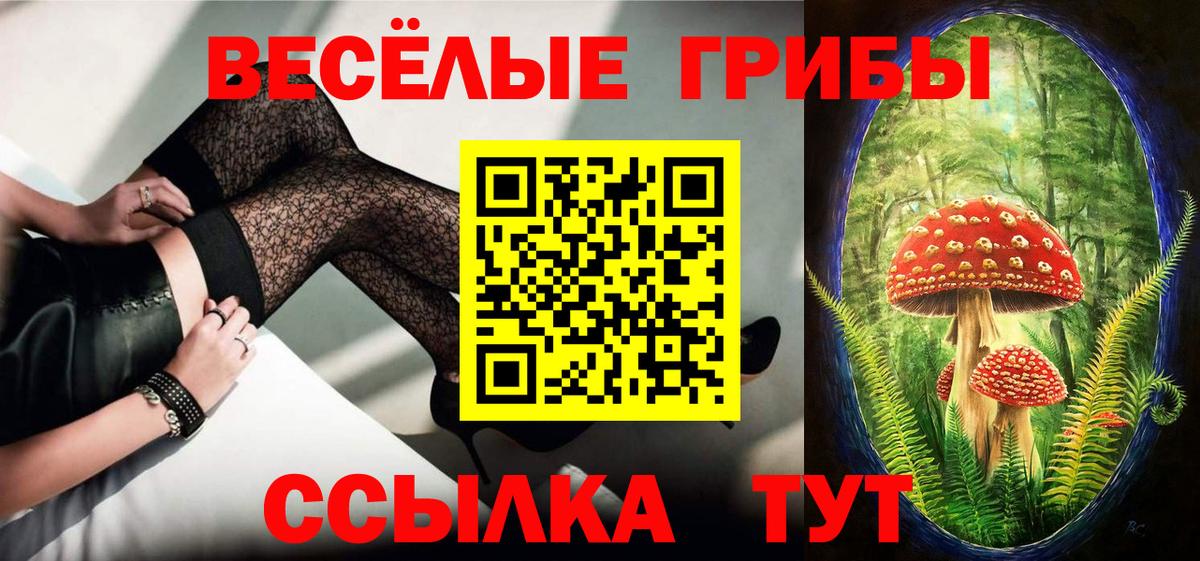 Псилоцибиновые грибы Psilocybe Павлово