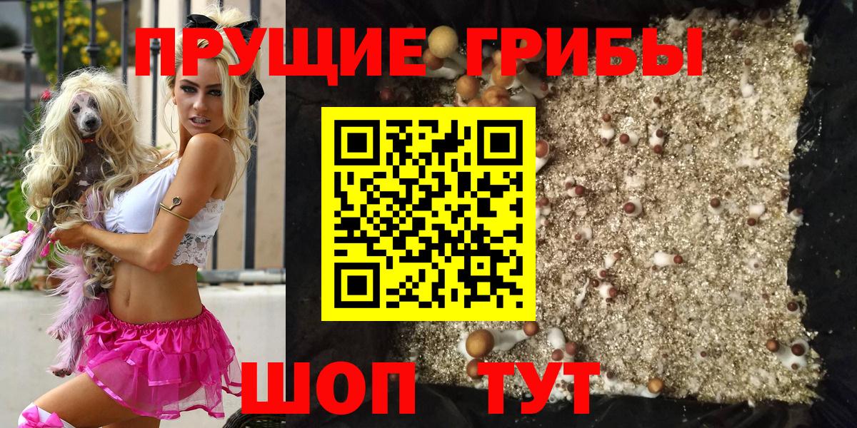 сколько стоит  Галлюциногенные грибы Magic Shrooms  Галлюциногенные грибы GOLDEN TEACHER  Вход с VPN  Павлово 